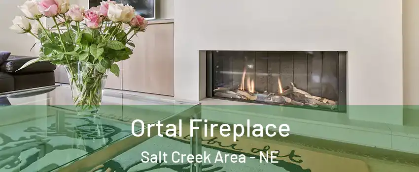 Ortal Fireplace Salt Creek Area - NE