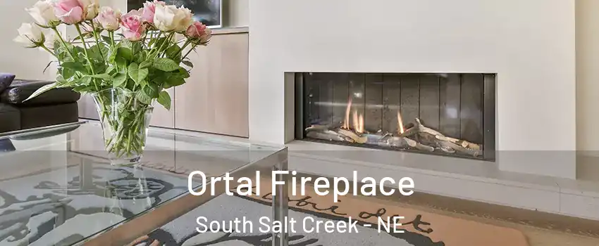 Ortal Fireplace South Salt Creek - NE