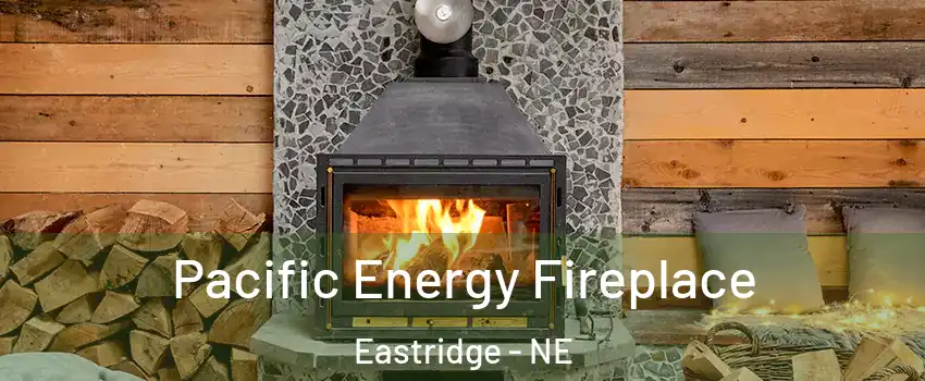 Pacific Energy Fireplace Eastridge - NE