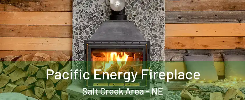 Pacific Energy Fireplace Salt Creek Area - NE