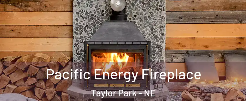 Pacific Energy Fireplace Taylor Park - NE