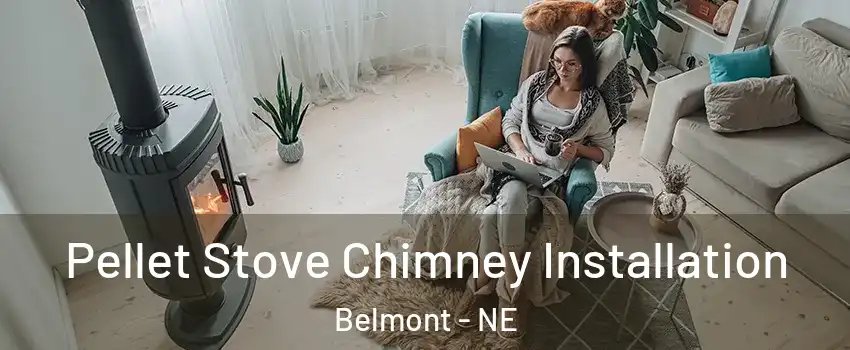 Pellet Stove Chimney Installation Belmont - NE