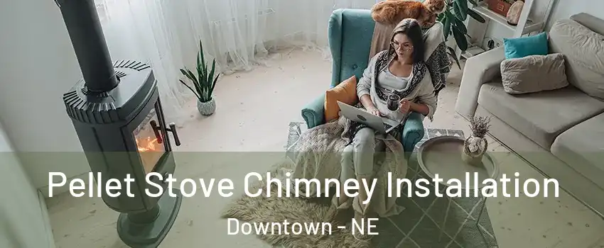 Pellet Stove Chimney Installation Downtown - NE
