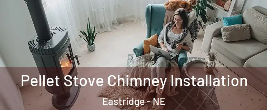 Pellet Stove Chimney Installation Eastridge - NE