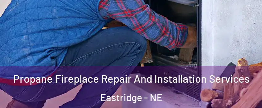 Propane Fireplace Repair And Installation Services Eastridge - NE