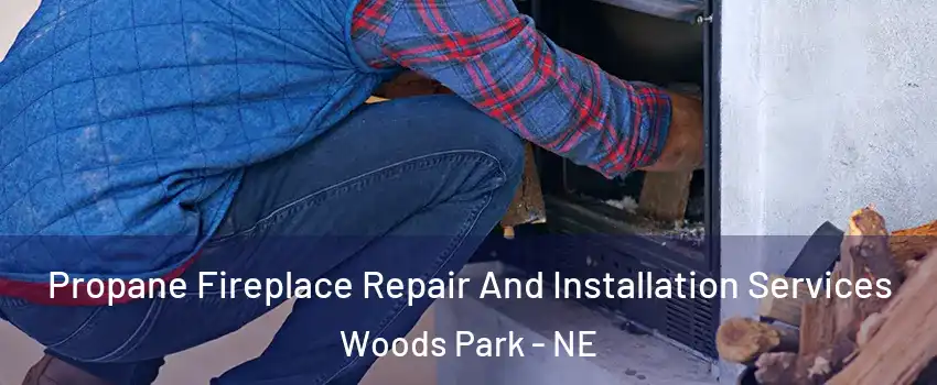 Propane Fireplace Repair And Installation Services Woods Park - NE