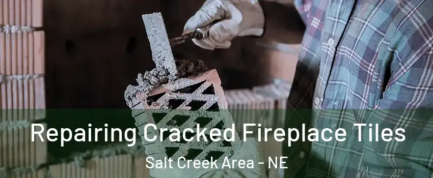 Repairing Cracked Fireplace Tiles Salt Creek Area - NE