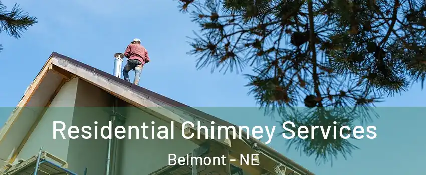 Residential Chimney Services Belmont - NE