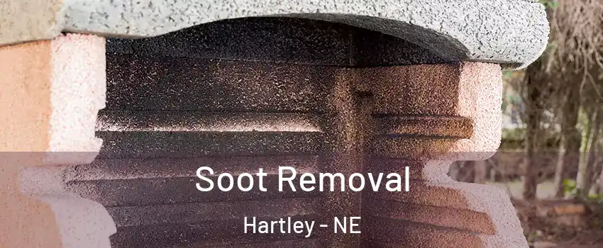 Soot Removal Hartley - NE