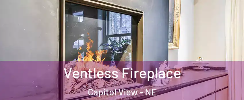 Ventless Fireplace Capitol View - NE