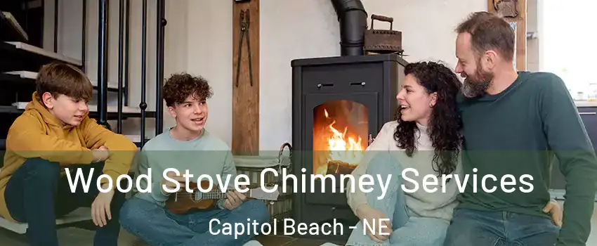 Wood Stove Chimney Services Capitol Beach - NE