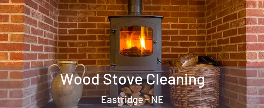 Wood Stove Cleaning Eastridge - NE