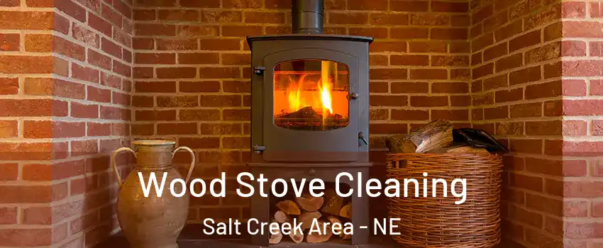 Wood Stove Cleaning Salt Creek Area - NE