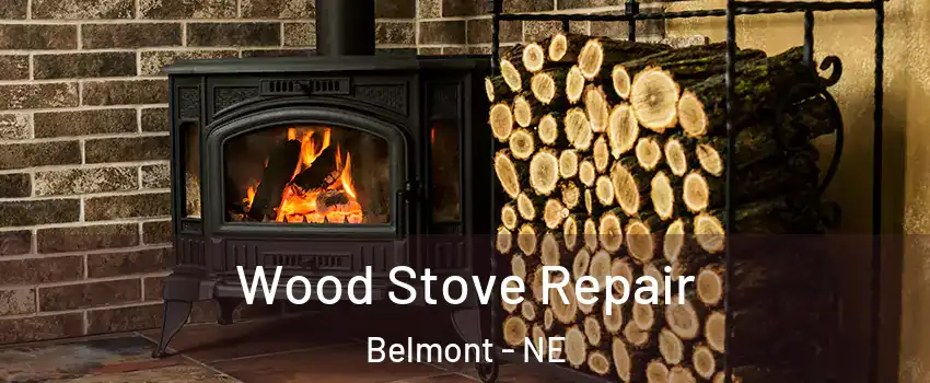 Wood Stove Repair Belmont - NE